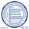 Печать ИП-231