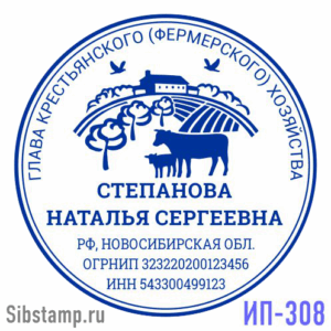 Печать ИП-308